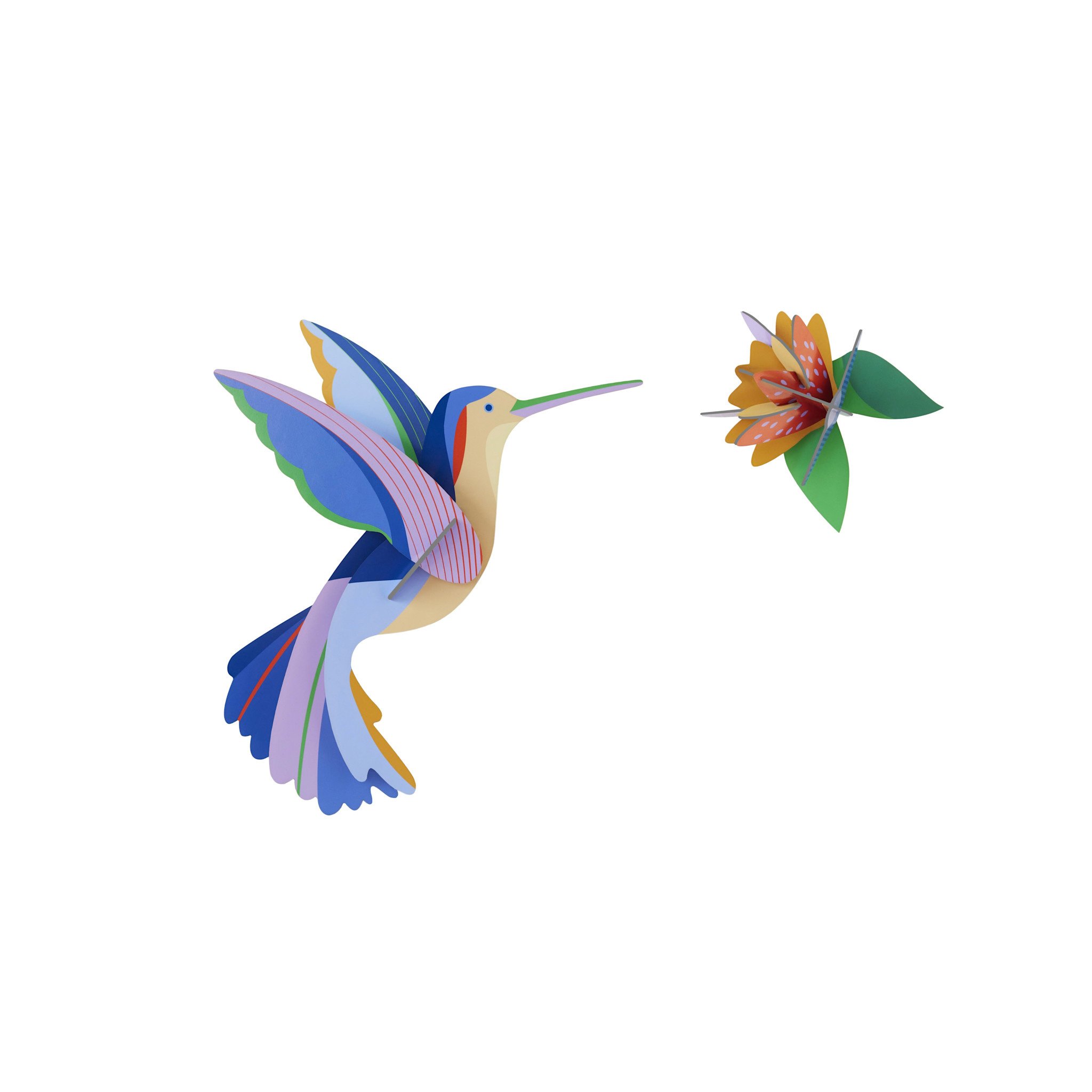 Studio Roof Paradise Bird Hummingbird