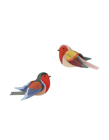 Studio Roof Garden Birds Robins
