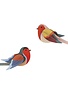 Studio Roof Garden Birds Robins
