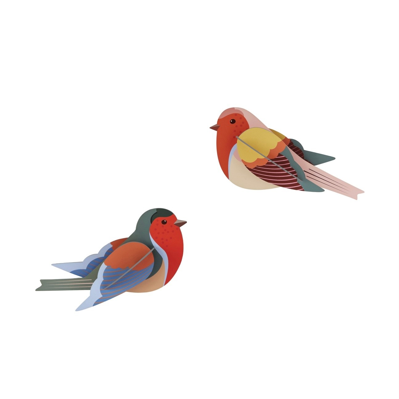 Studio Roof Garden Birds Robins