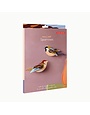 Studio Roof Garden Birds Sparrows