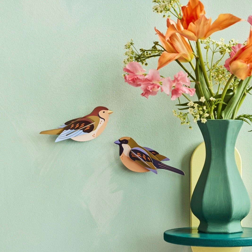 Studio Roof Garden Birds Sparrows