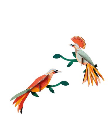 Studio Roof Paradise Bird Obi