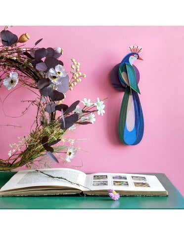 Studio Roof Paradise Bird Banda DIS