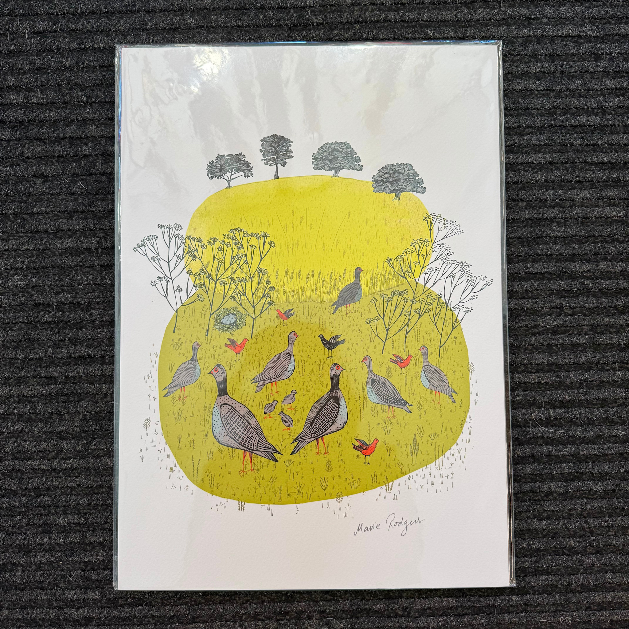 Lush Designs Lush Print A3 Partridges