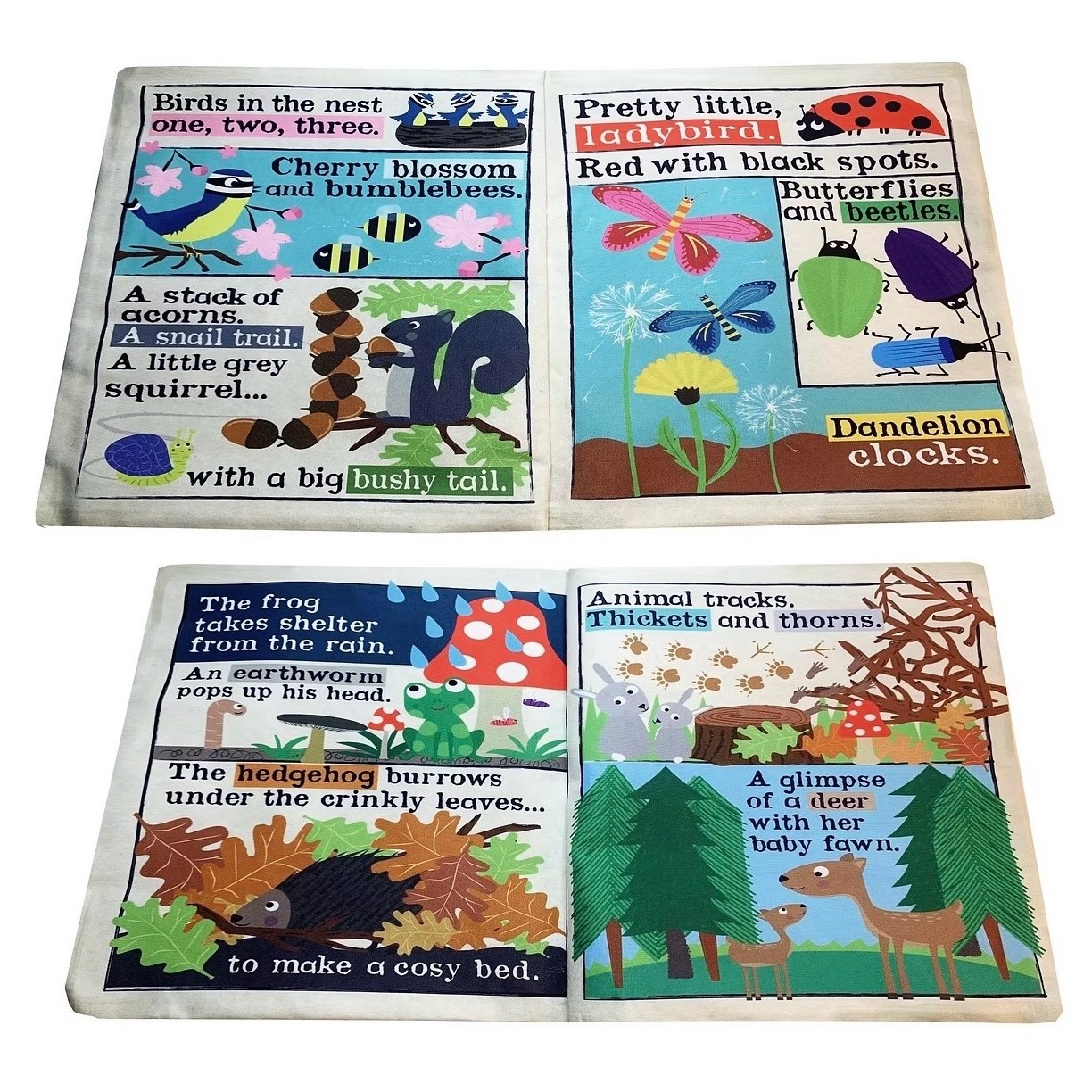 Jo & Nic's Crinkly Newspaper Nature Trail