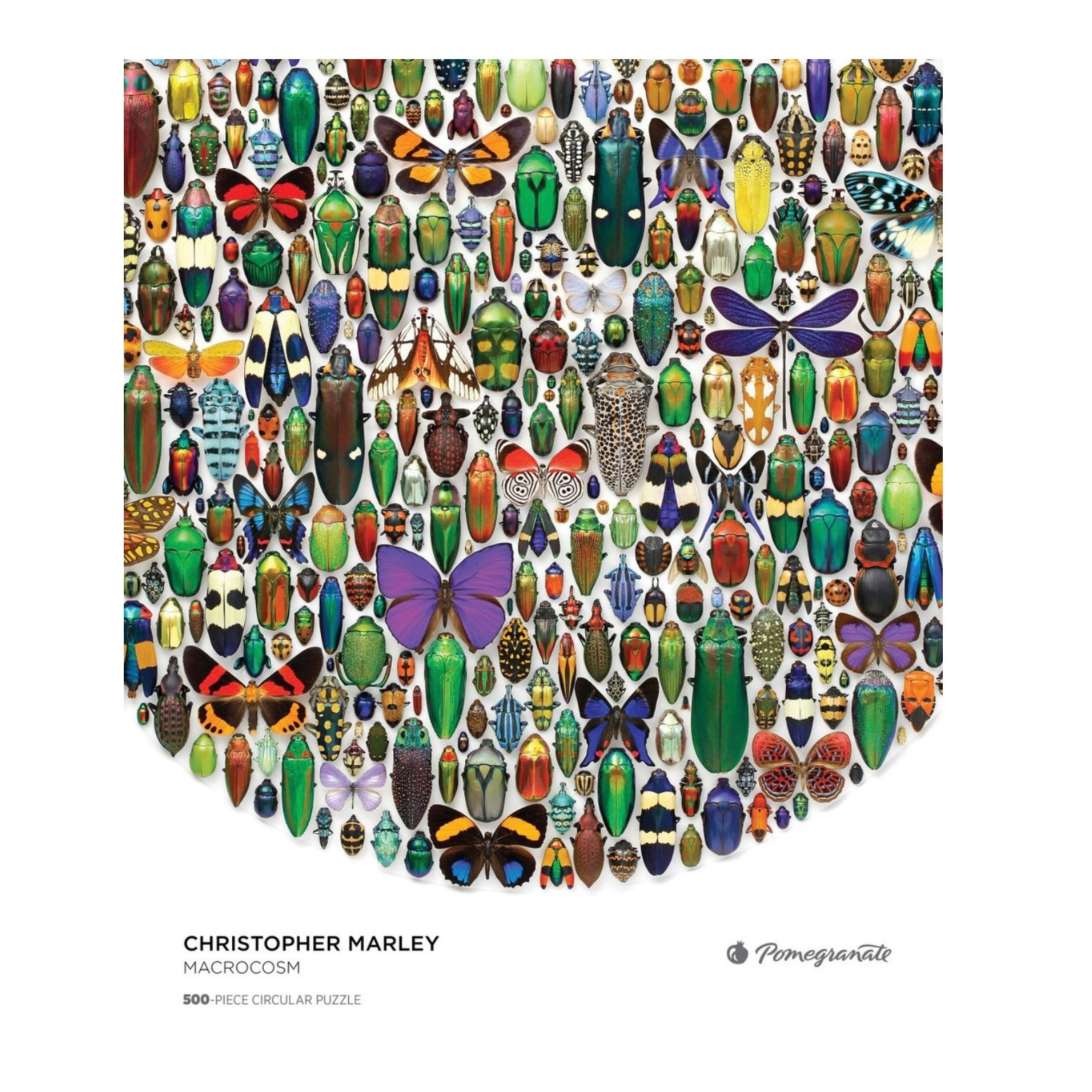 Pomegranate 500 Piece Circular Puzzle Macrocosm