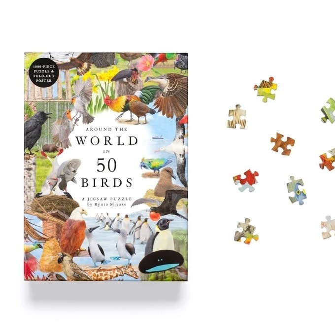 Laurence King Around the World In 50 Birds Puzzle