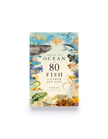 Laurence King Around the Ocean in 80 Fish