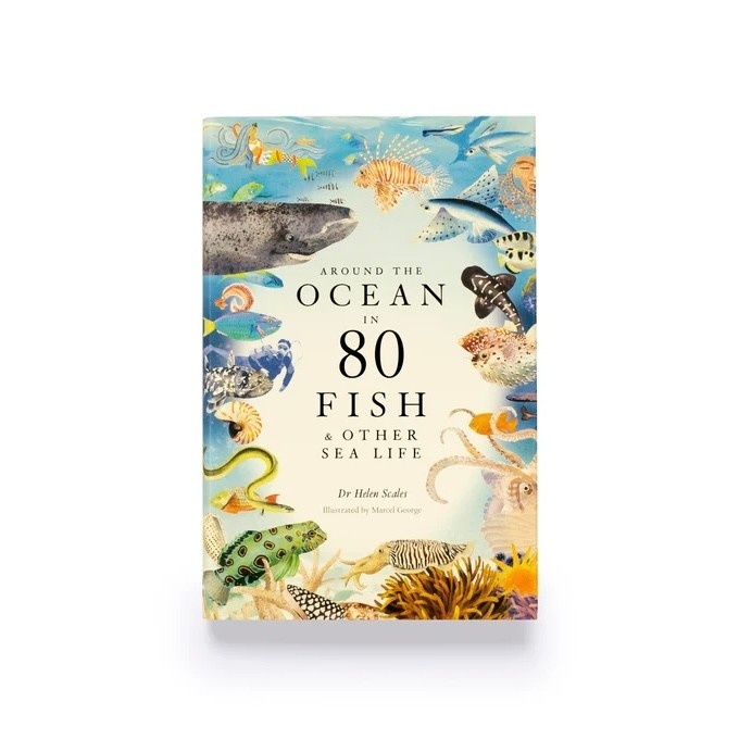 Laurence King Around the Ocean in 80 Fish