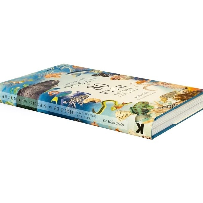 Laurence King Around the Ocean in 80 Fish