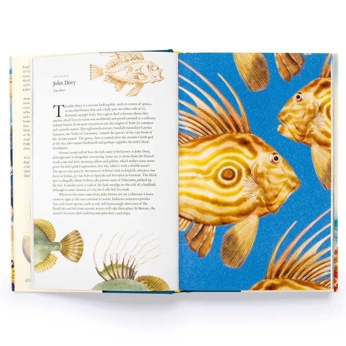 Laurence King Around the Ocean in 80 Fish