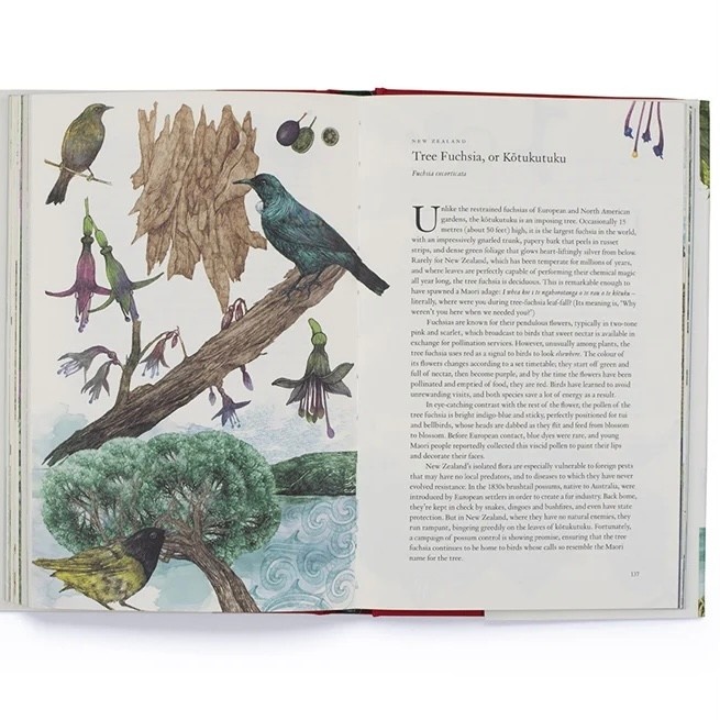 Laurence King Around the World in 80 Plants