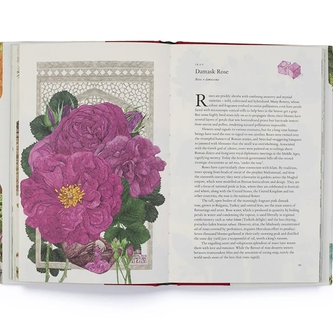 Laurence King Around the World in 80 Plants