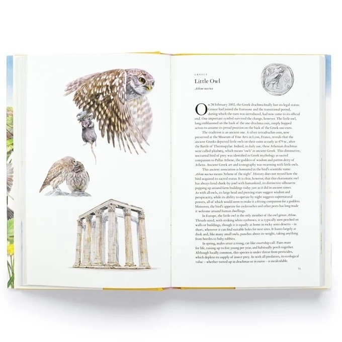 Laurence King Around the World in 80 Birds