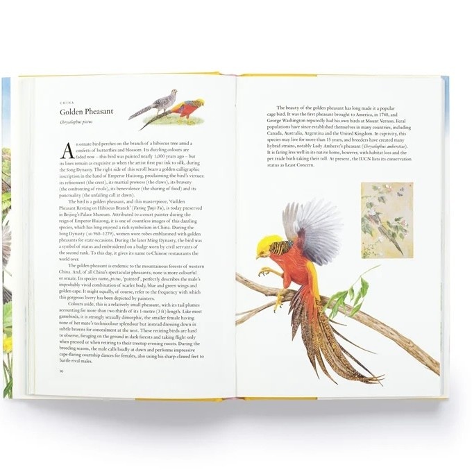 Laurence King Around the World in 80 Birds