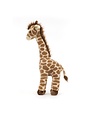 Jellycat Dara Giraffe