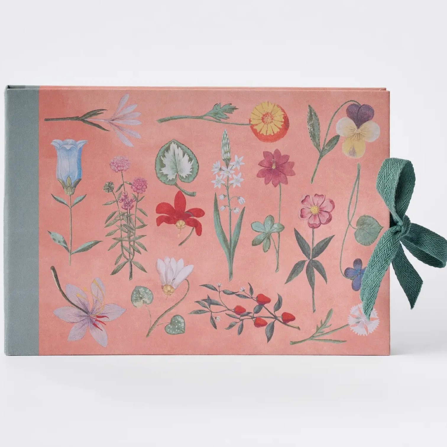 Sketchbook Festival Of Flowers