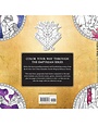 Search Press Fourth Wing Official Colouring & Sticker Book