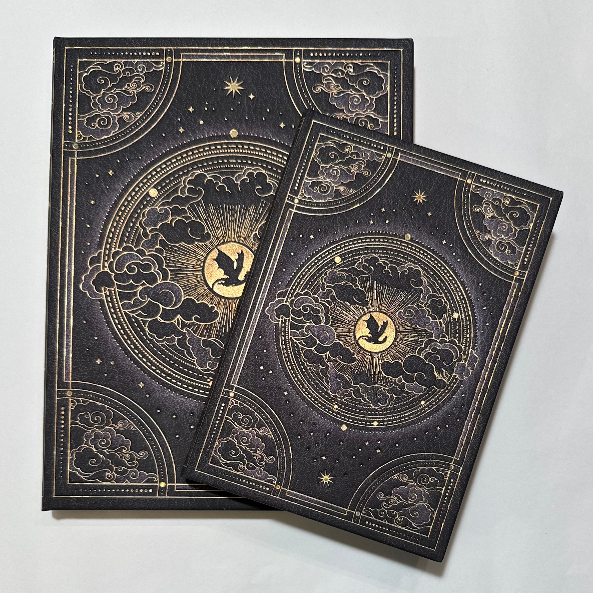 Paperblanks Fourth Wing Blank Sketchbook
