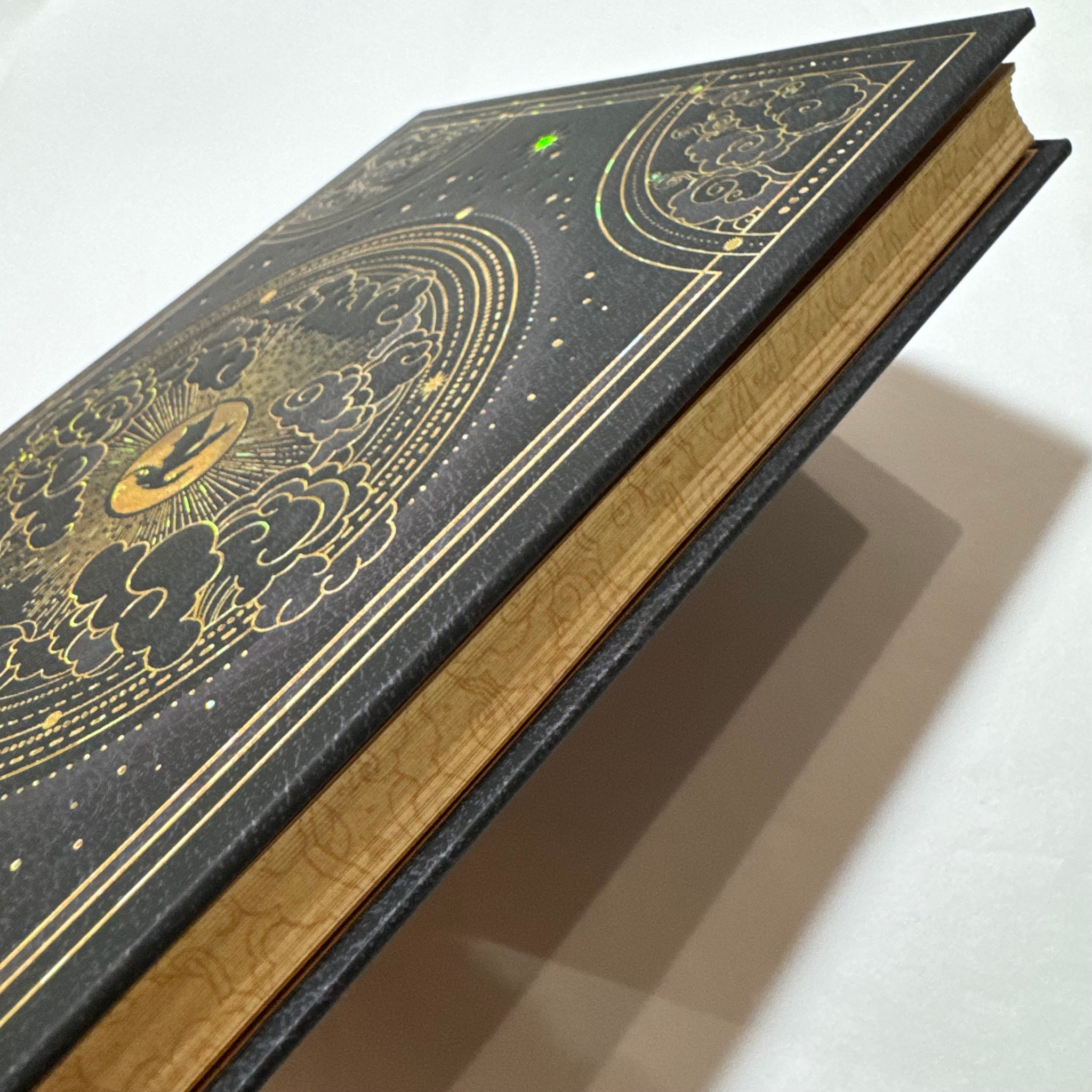 Paperblanks Fourth Wing Blank Sketchbook