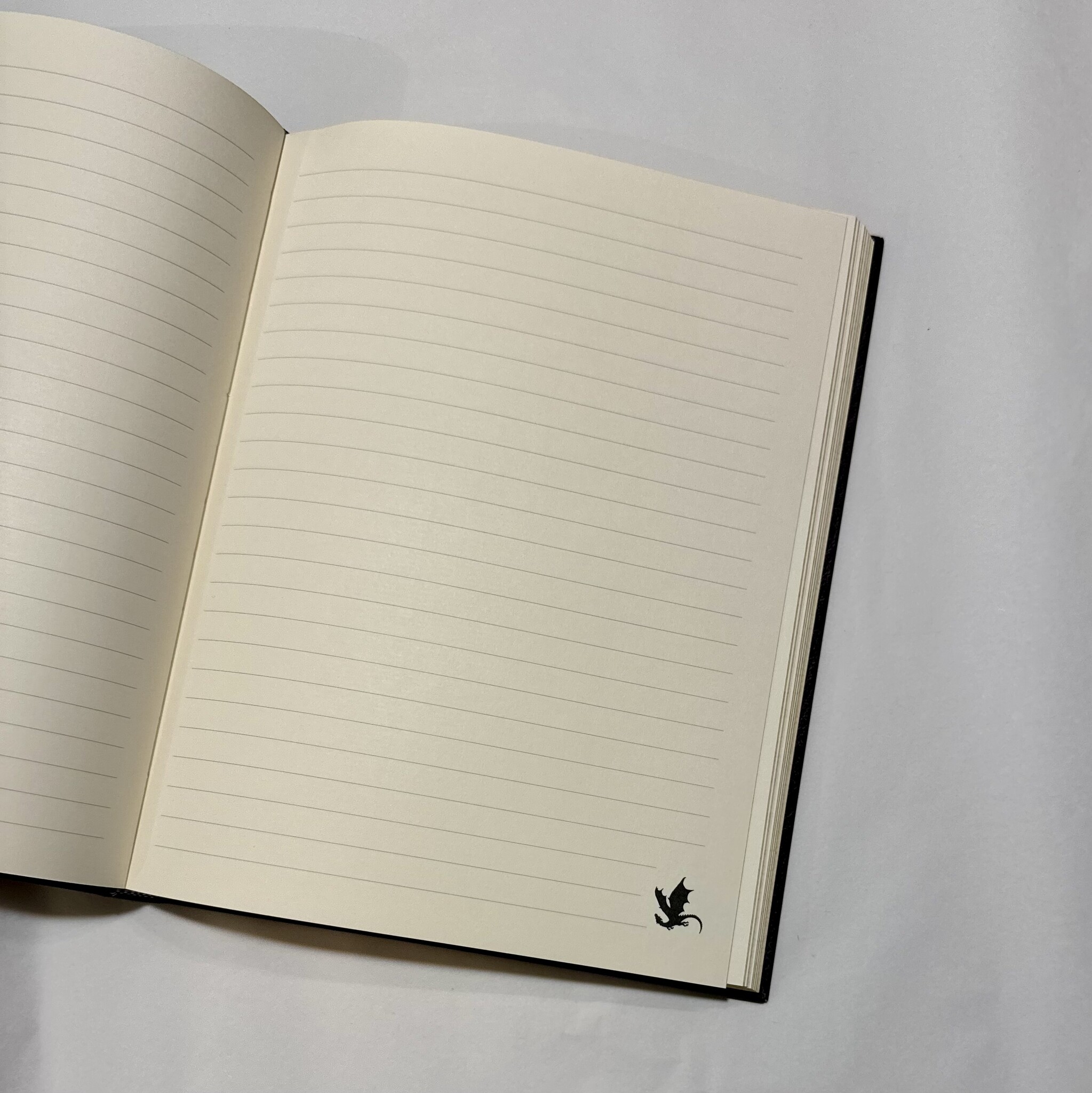 Paperblanks Fourth Wing Lined Notebook