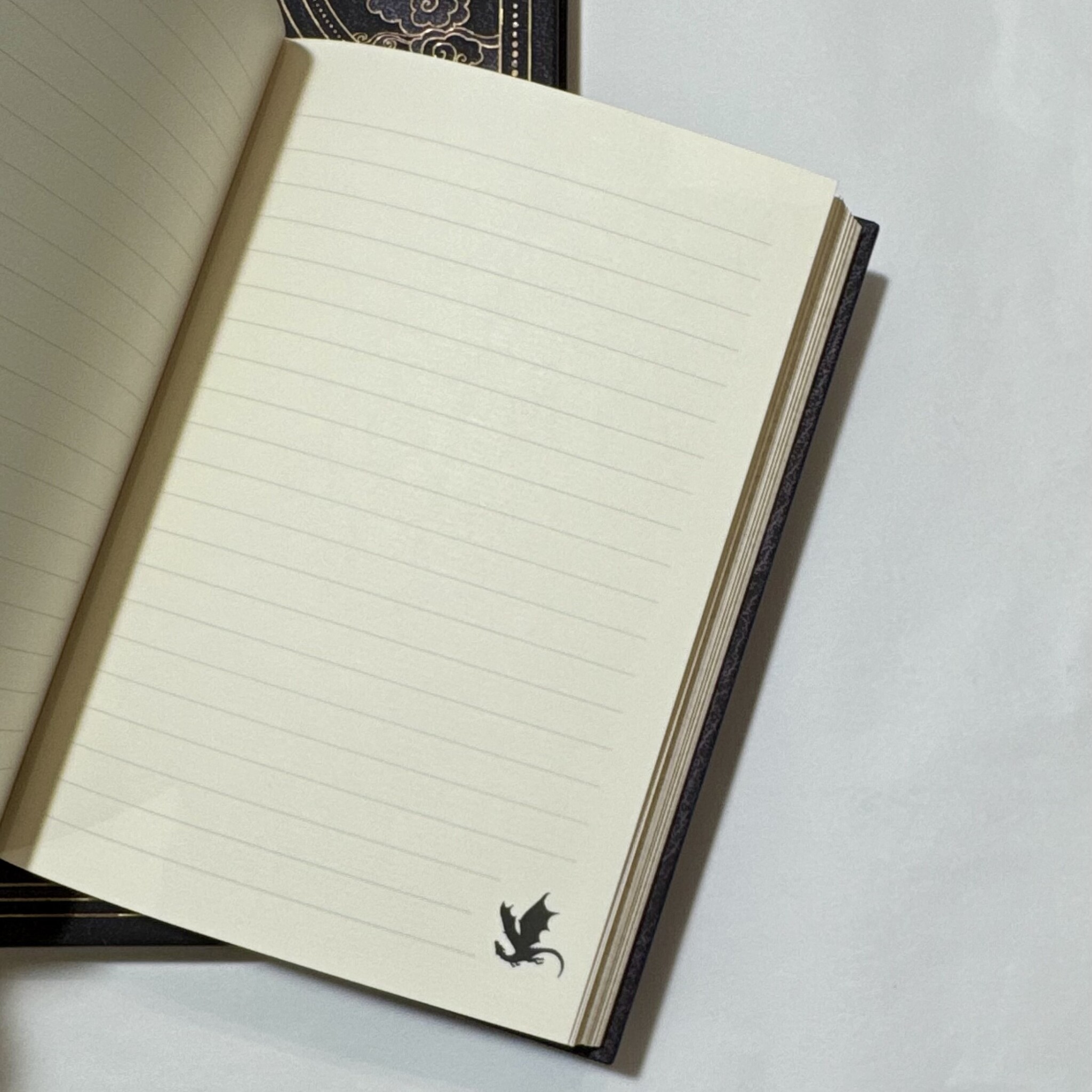 Paperblanks Fourth Wing Lined Notebook