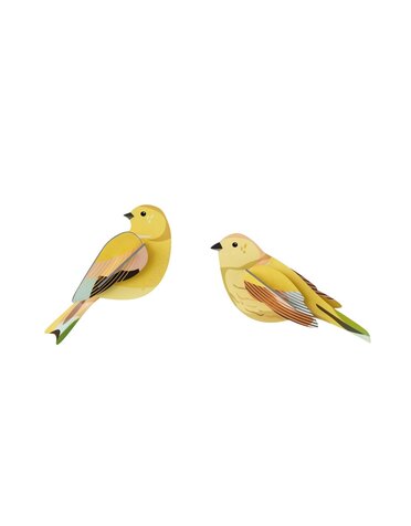Studio Roof Garden Birds Citrinella Pair