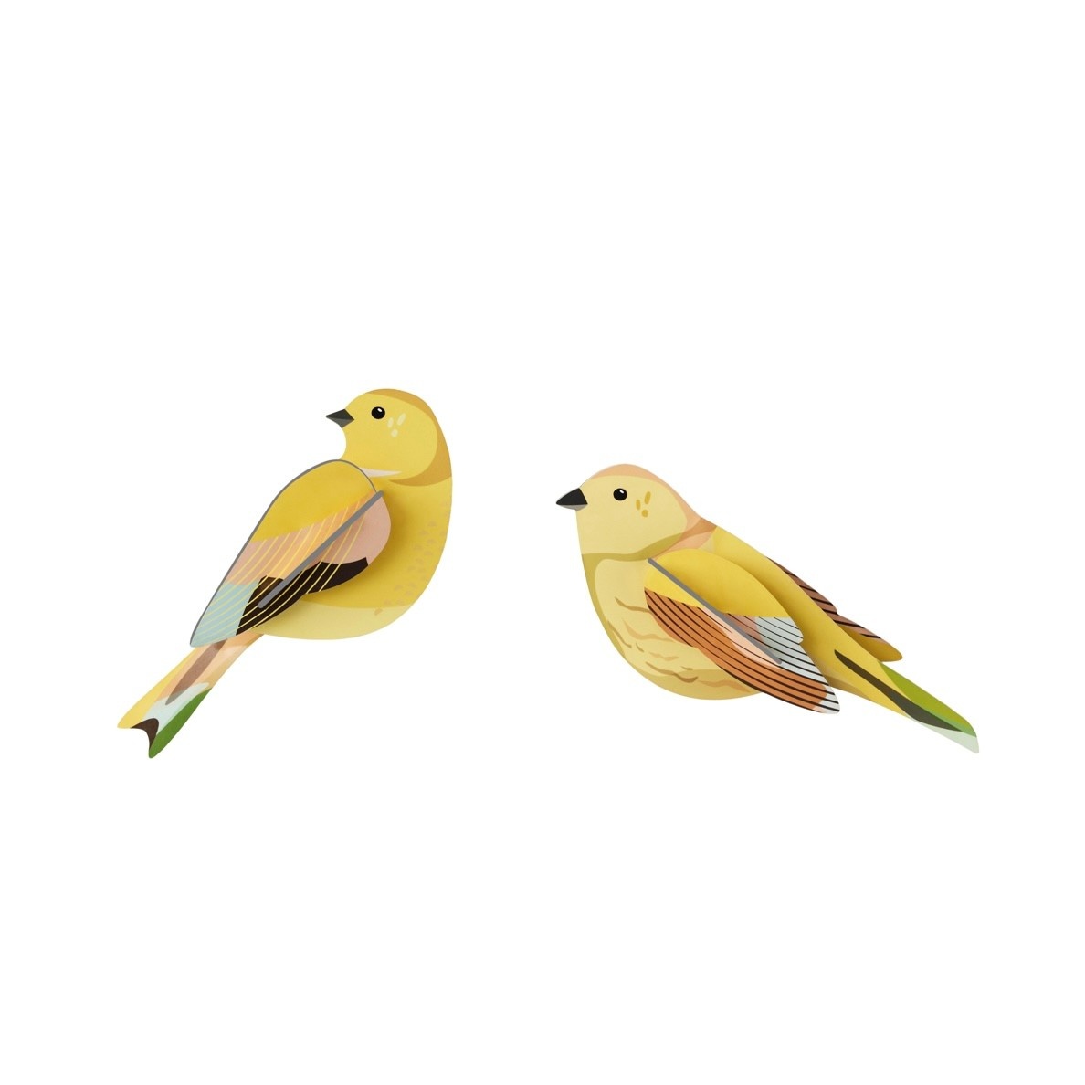Studio Roof Garden Birds Citrinella Pair
