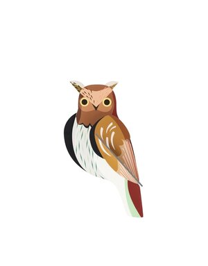Studio Roof Garden Birds Tawny Owl DIS
