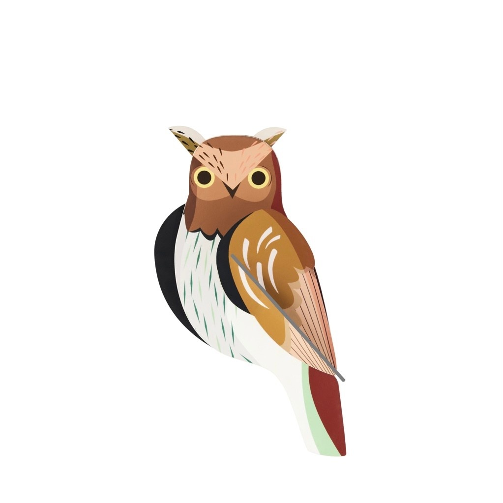 Studio Roof Garden Birds Tawny Owl