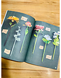 David & Charles The Bouquet In A Book