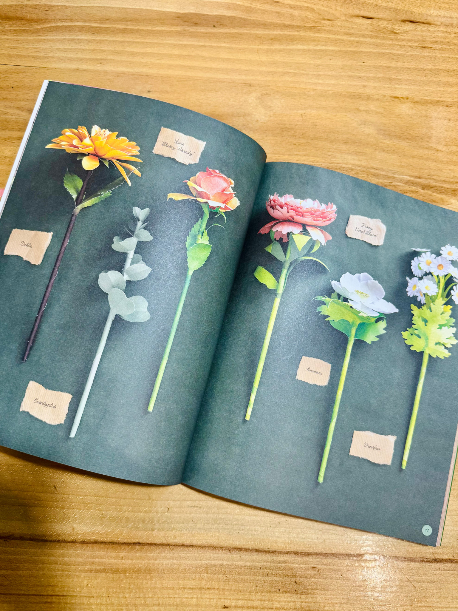 David & Charles The Bouquet In A Book