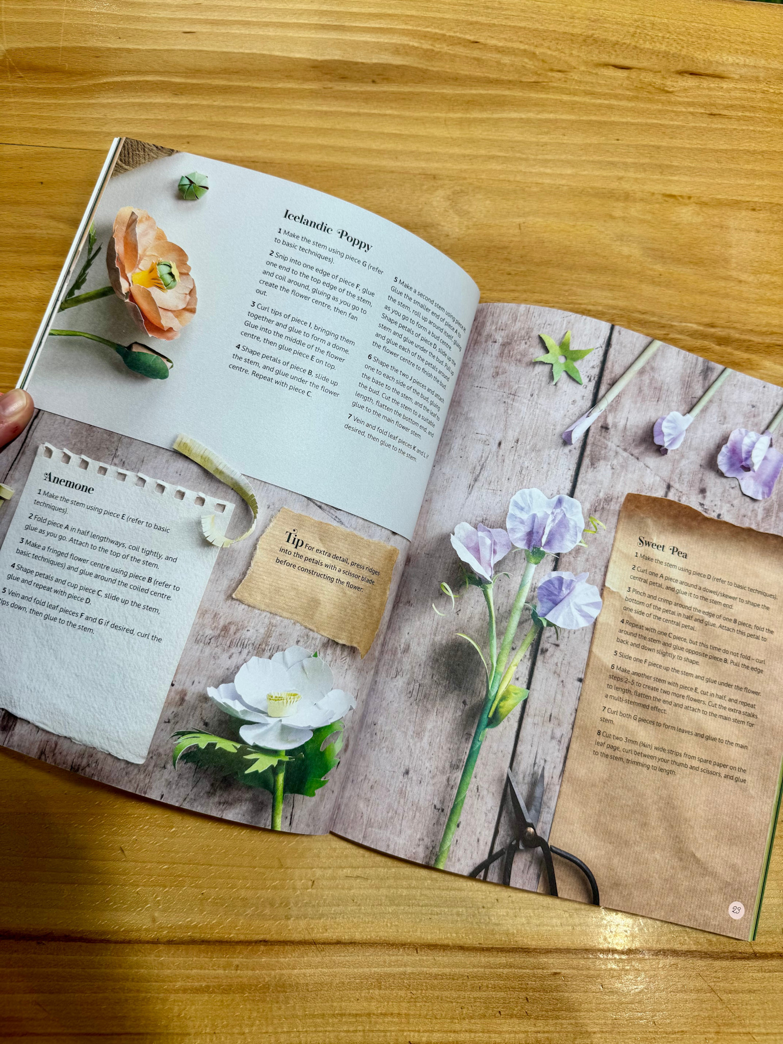 David & Charles The Bouquet In A Book