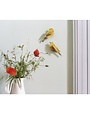 Studio Roof Garden Birds Citrinella Pair