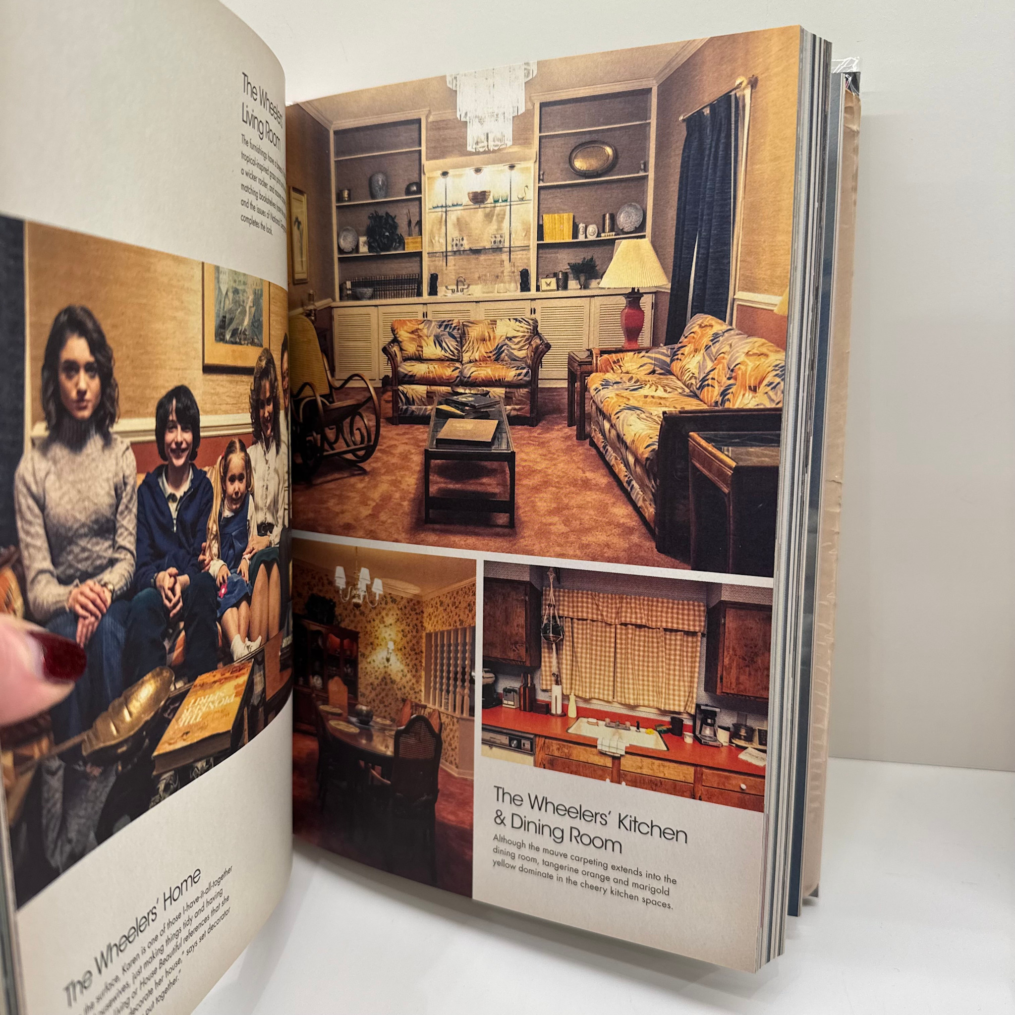 Bookspeed Stranger Things: Worlds Turned Upside Down