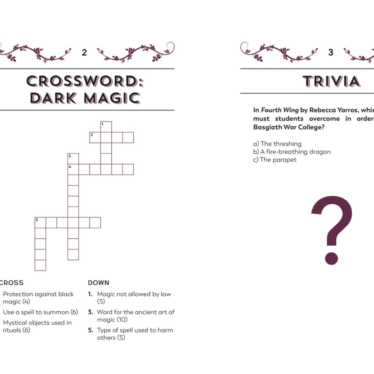 Quarto The Romantasy Puzzle Book