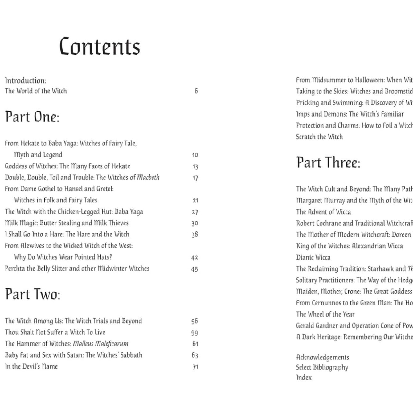 Bookspeed The Story of Witches