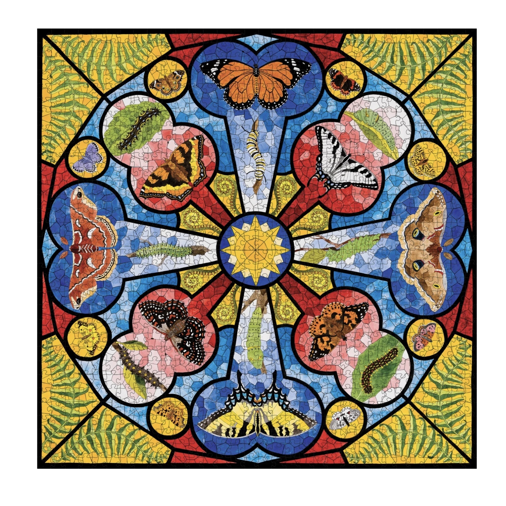 Pomegranate 1000 Piece Puzzle Butterfly Rose Window