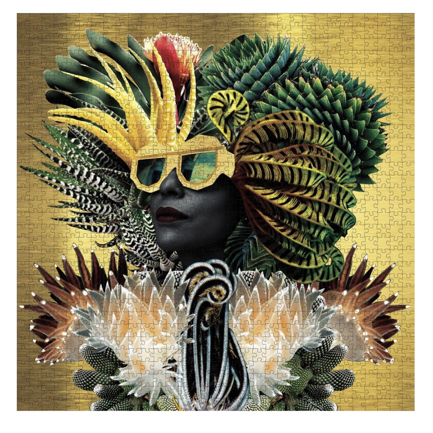 Pomegranate 1000 Piece Puzzle In Plain Sight