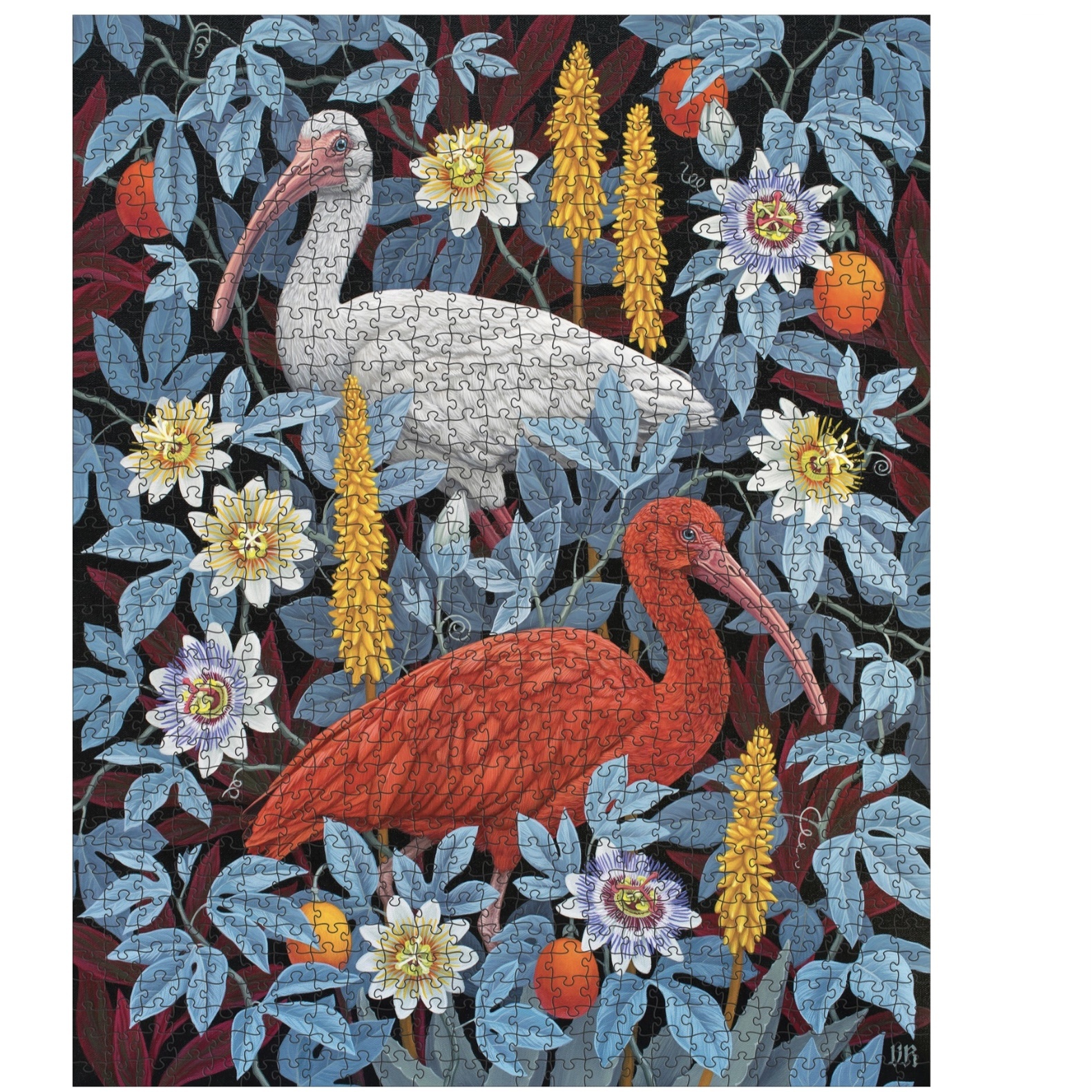 Pomegranate 1000 Piece Puzzle Ibises