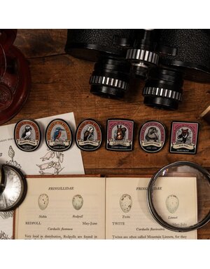 Pin Badges British Wildlife