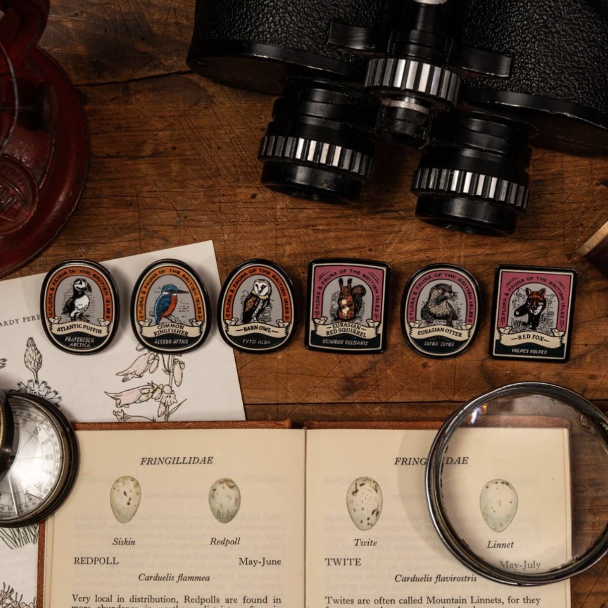 Pin Badges British Wildlife