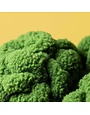 Jellycat Amuseables Broccoli