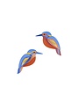 Studio Roof Garden Birds Kingfishers