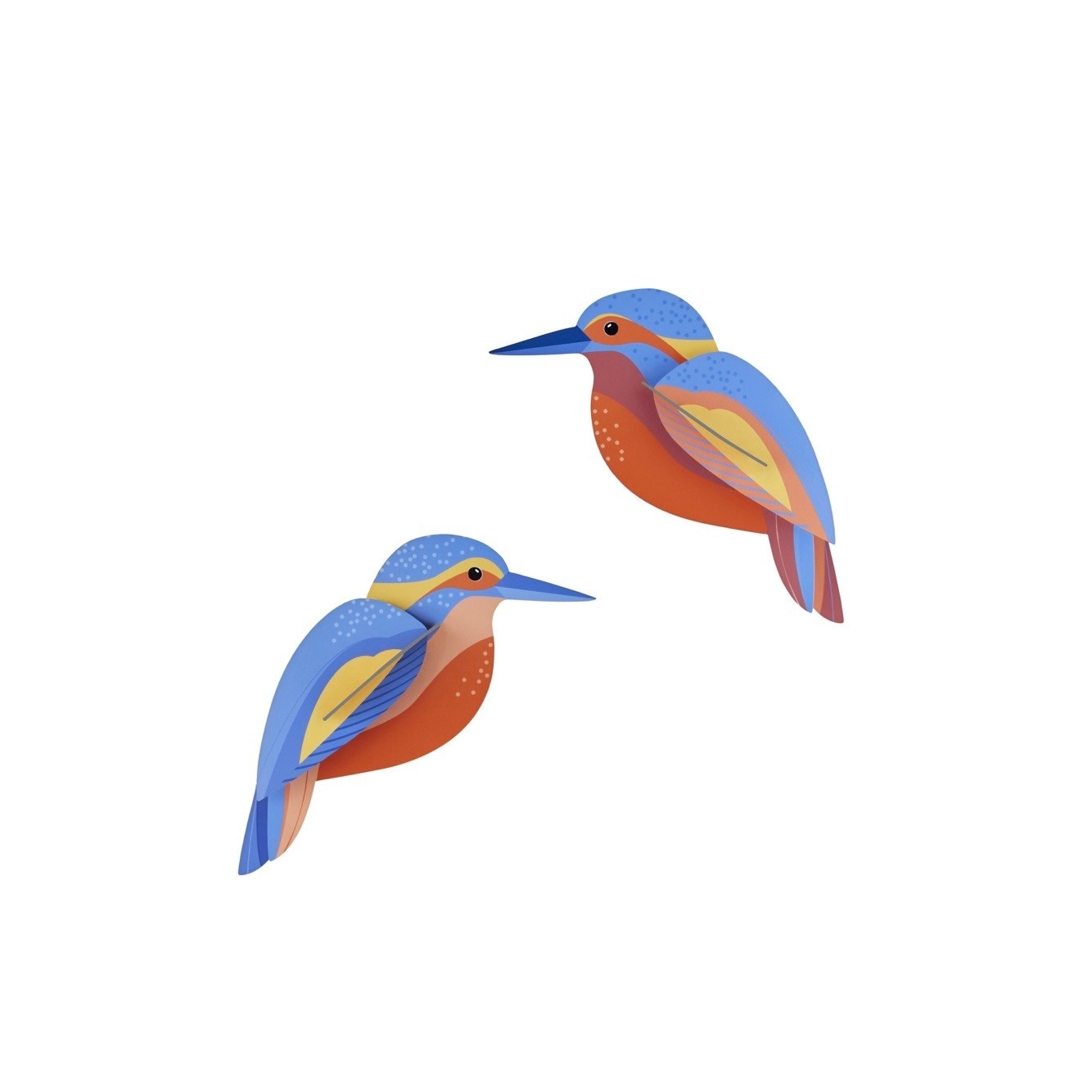 Studio Roof Garden Birds Kingfishers