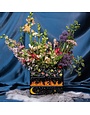 Sarah J Mass Feyre’s Painted Dresser Vase