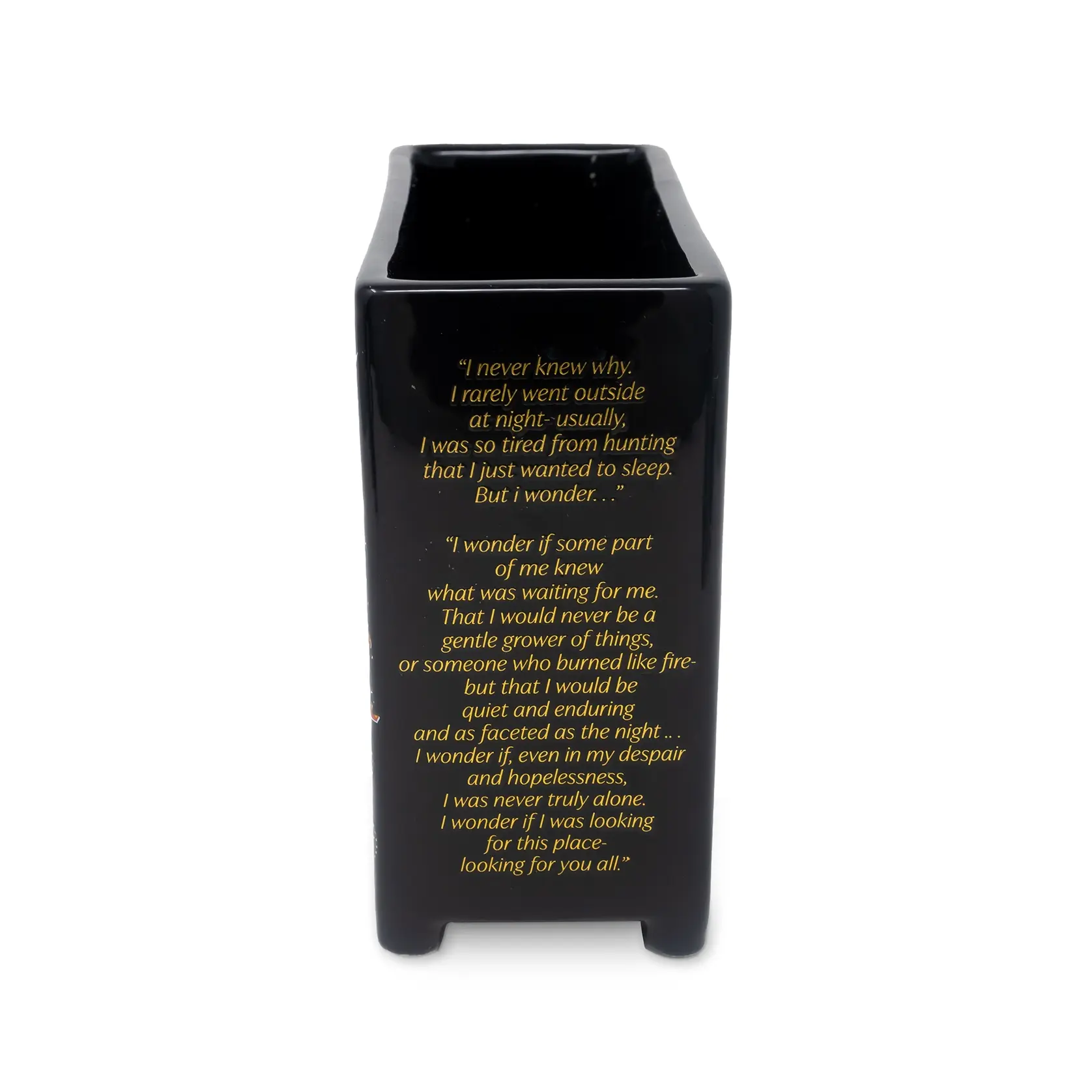 Sarah J Mass Feyre’s Painted Dresser Vase