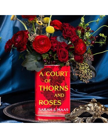Sarah J Mass A Court Of Thorns And Roses Book Vase