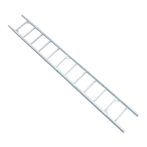 RMS Ladder 2,00 m RMS Ladder 2,00 m